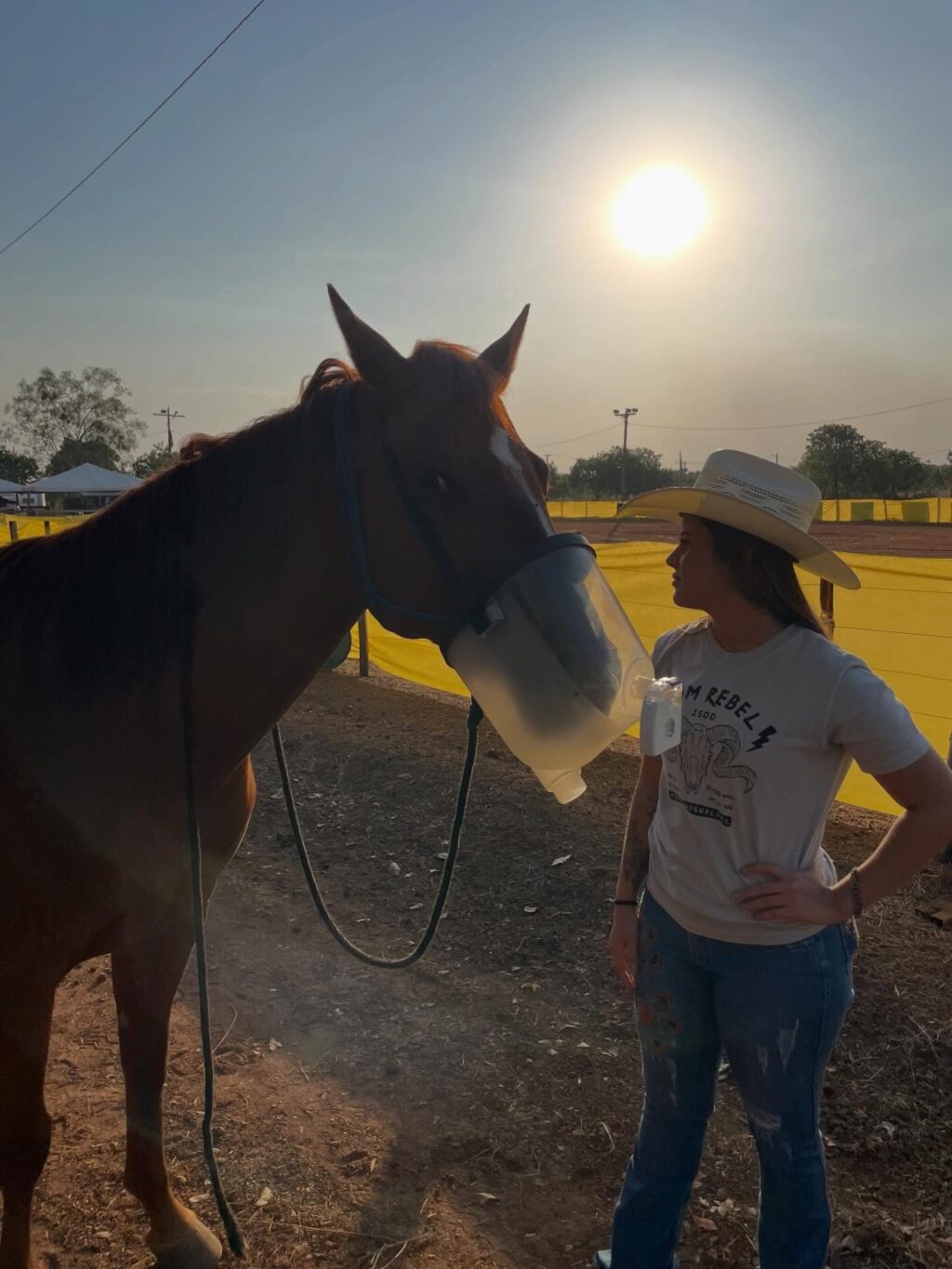 Instagram post from priorivetfarma. This post is in position 5.