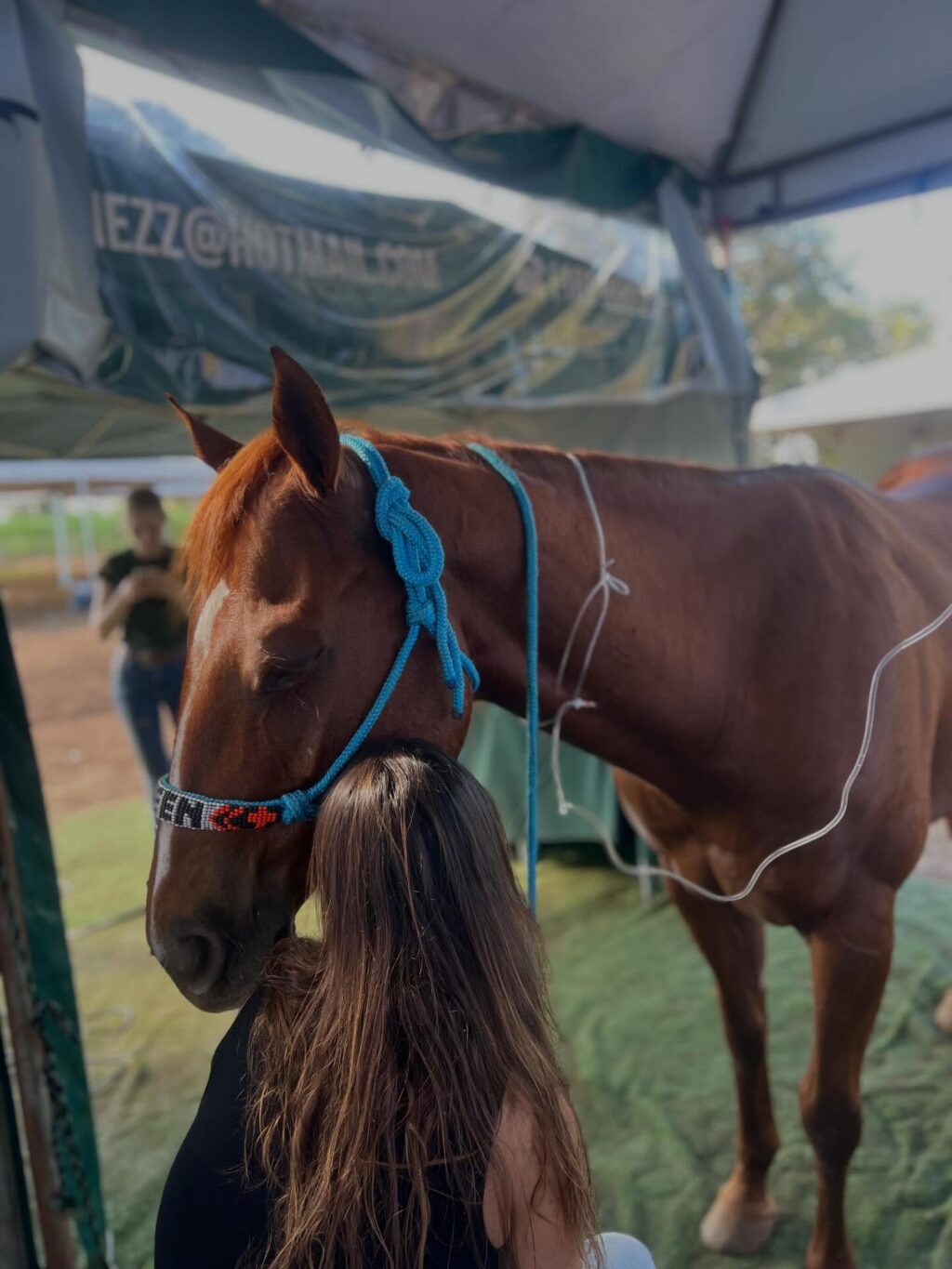 Instagram post from priorivetfarma. This post is in position 4.